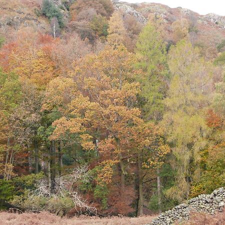 Beech Villa Ulverston Dış mekan fotoğraf