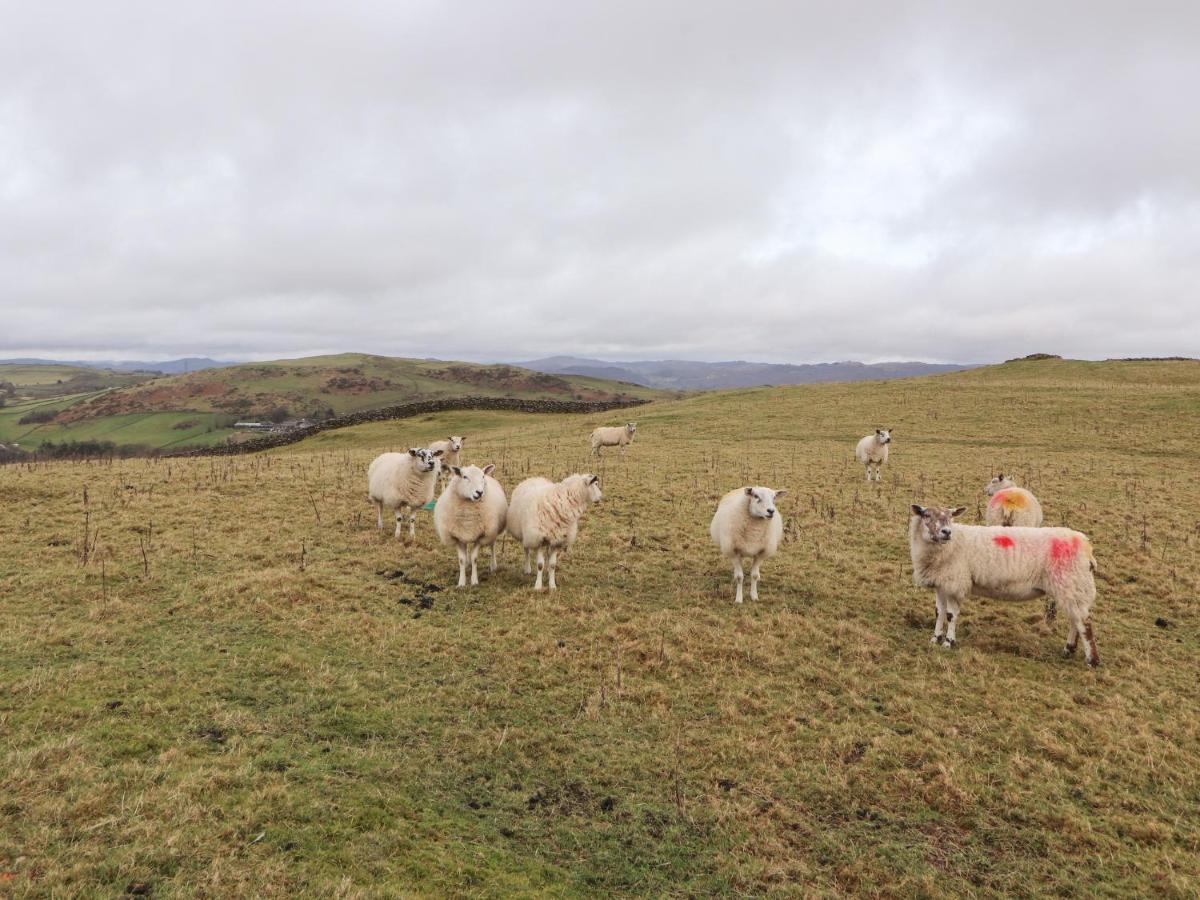 Beech Villa Ulverston Dış mekan fotoğraf