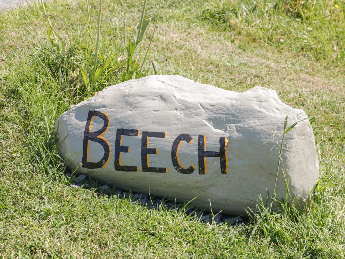 Beech Villa Ulverston Dış mekan fotoğraf