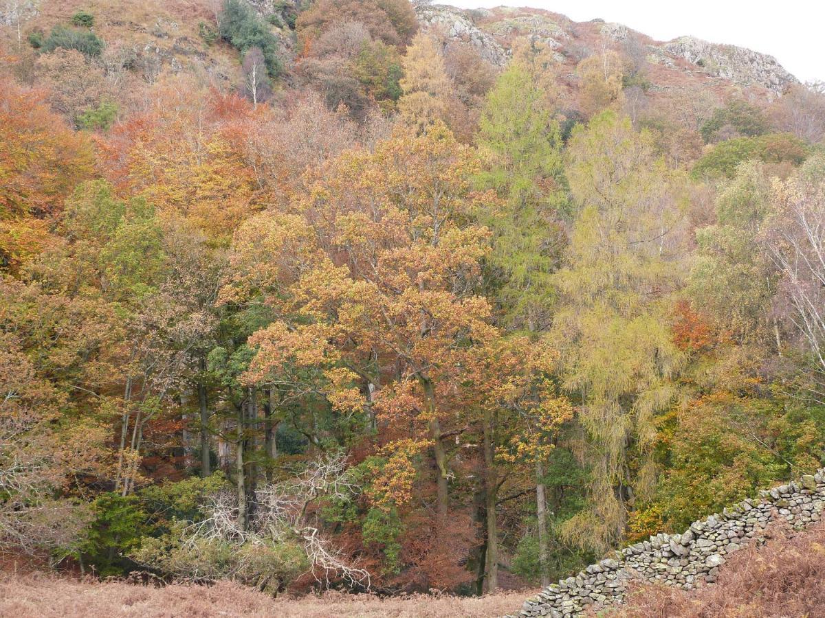 Beech Villa Ulverston Dış mekan fotoğraf