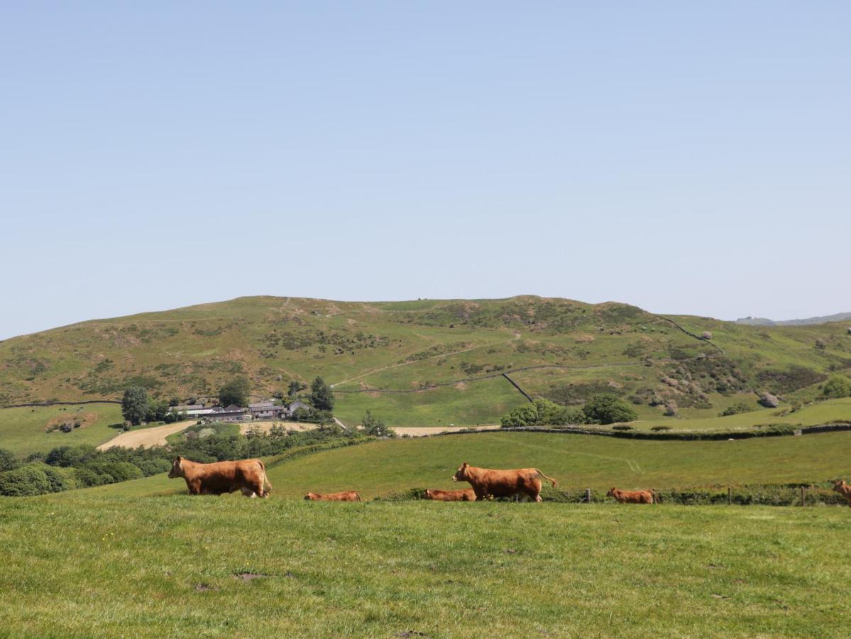 Beech Villa Ulverston Dış mekan fotoğraf